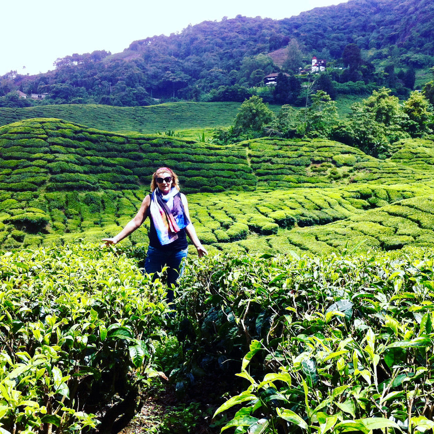 Tea Bird Tea Stories