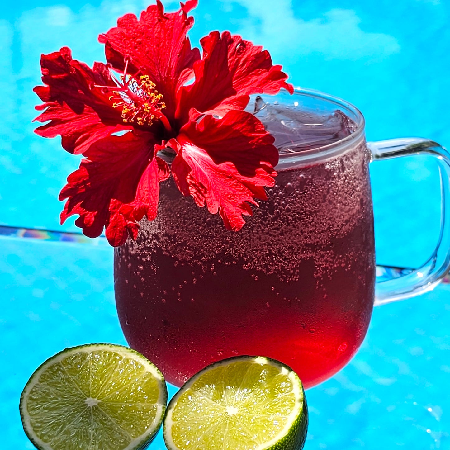 
                  
                    Hibiscus Hydraglow
                  
                